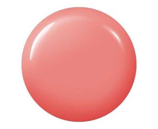 Didier Lab Gel System Premium Camouflage Gel Преміум камуфлюючий гель, фото _ab__is.image_number.default