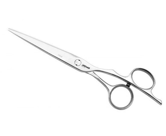 Ножницы парикмахерские прямые Jaguar Silver Line Fame 70055 5.5, изображение 2