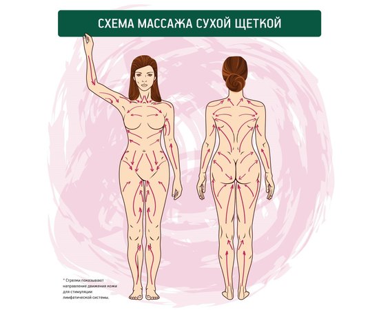 Щітка антицелюлітна Budu Beauty, фото _ab__is.image_number.default