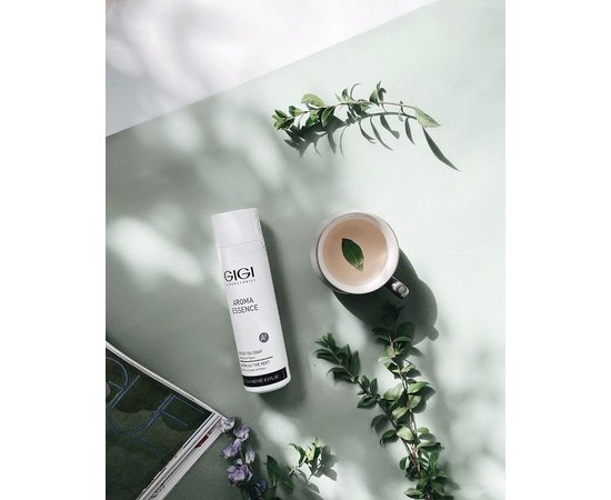 Мыло с зеленым чаем для всех типов кожи Gigi Aroma Essence Green Tea Soap For All Skin Types, 250 ml, изображение 6