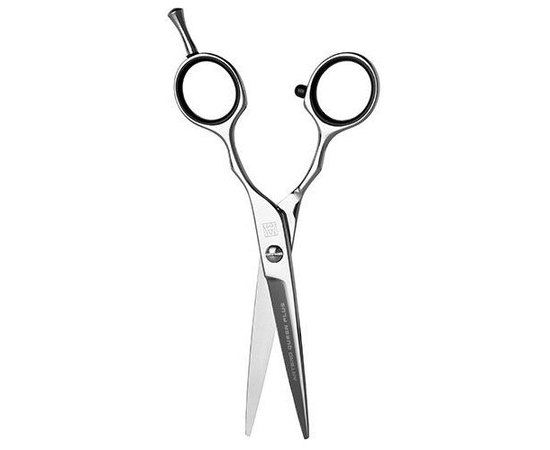 Ножницы парикмахерские Artero Queen Plus 5.5" Т63355, изображение 2 Ножницы парикмахерские Artero Queen Plus 5.5" Т63355, изображение 2