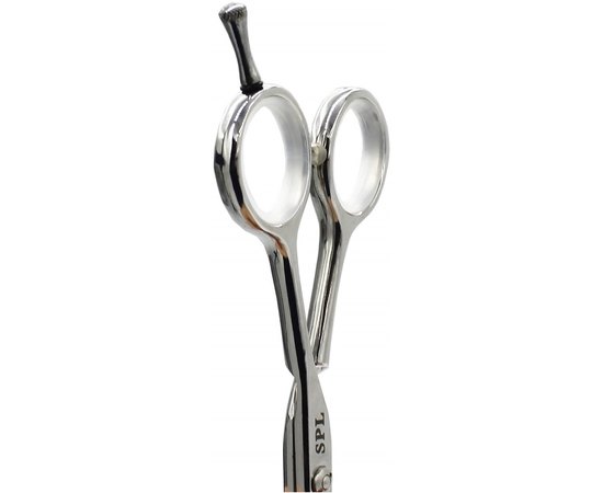 Ножиці прямі професійні SPL 90010-55, фото _ab__is.image_number.default