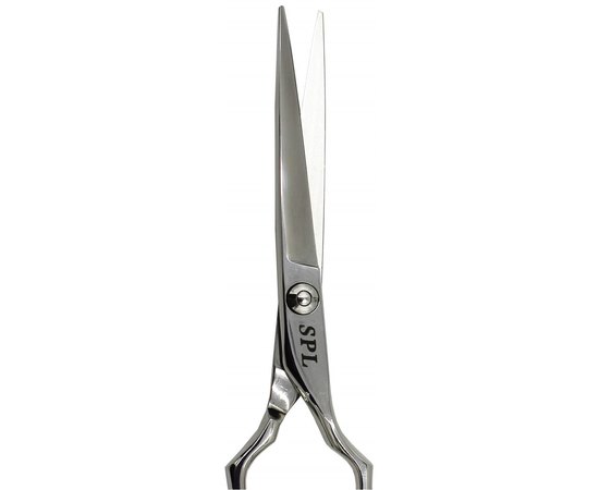 Ножиці прямі професійні SPL 90011-55, фото _ab__is.image_number.default