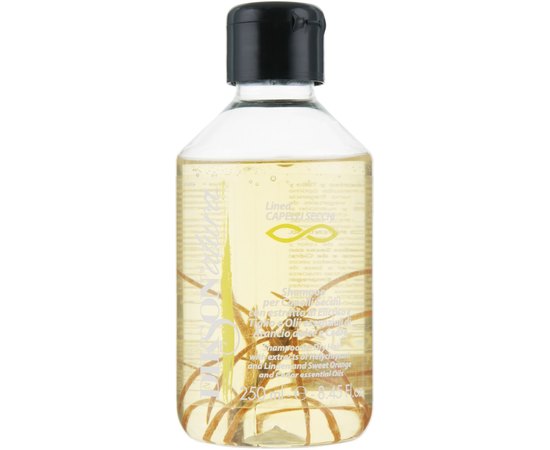 Шампунь для сухого волосся Dikson Natura Shampoo Secchi, 250 ml, фото 