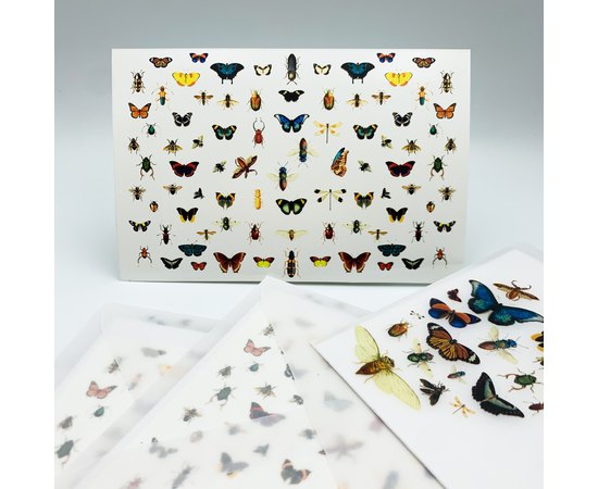 Слайдеры by provocative nails - Entomologie, изображение 2