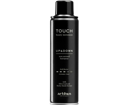 Artego Touch Up & Down Спрей-лак для волосся без газу, фото 