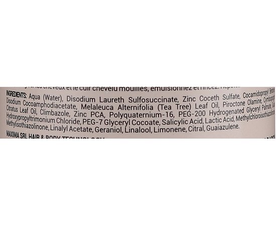 Nook Dear Beard Multi Active Bain - Мульти-активний шампунь, 250 мл, фото _ab__is.image_number.default