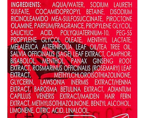 Шампунь против перхоти для мужчин Lisap Man Anti-dandruff Purifying Shampoo, 250 ml, изображение 3