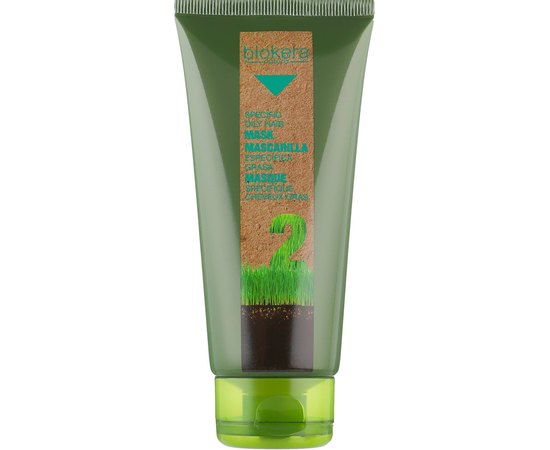 Маска для жирной кожи головы Salerm Biokera Mascarilla Especifica Grasa, 200 ml, изображение 2
