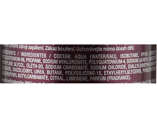 SALERM Volume Mousse Мус-об'єм для укладання волосся, 300 мл, фото _ab__is.image_number.default