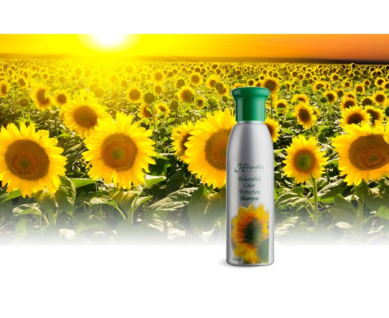 Шампунь защита цвета Хелиантис Orising Helianthi's, изображение 3