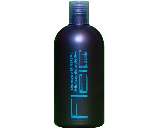 Шампунь з мінералами для сухого волосся Gestil Wonder Shampoo Minersal, 500 ml, фото 