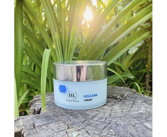 Питательный крем для чувствительной кожи Holy Land Azulene Cream, 250 ml, изображение 4