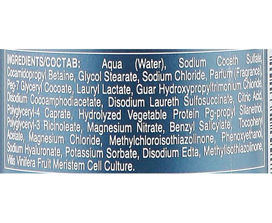 Відновлюючий шампунь для домашнього догляду SeipuntoZero Hairzoe Time Protrction Restructuring Maintenance Shampoo, 300 ml, фото _ab__is.image_number.default