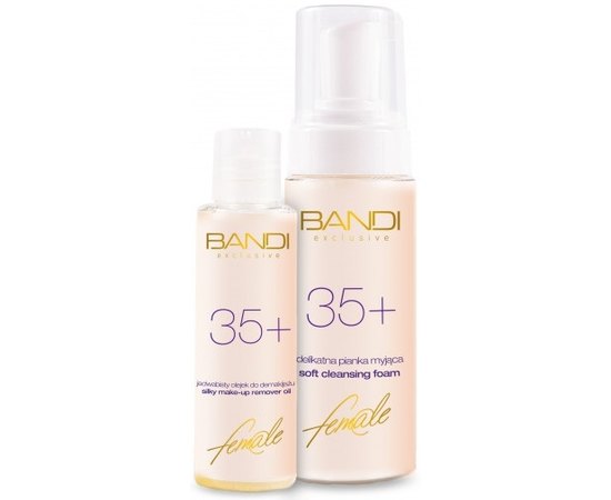 Набор для снятия водостойкого макияжа Bandi SET Silky make-up remover oil S Soft cleansing foam