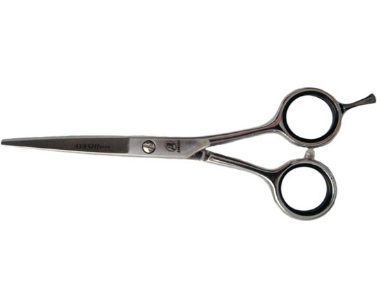 Ножницы парикмахерские прямые для стрижки Ayashi AS55-22 5.5``
