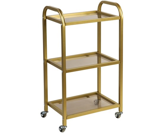 Тележка косметологическая S4-gold, изображение 2