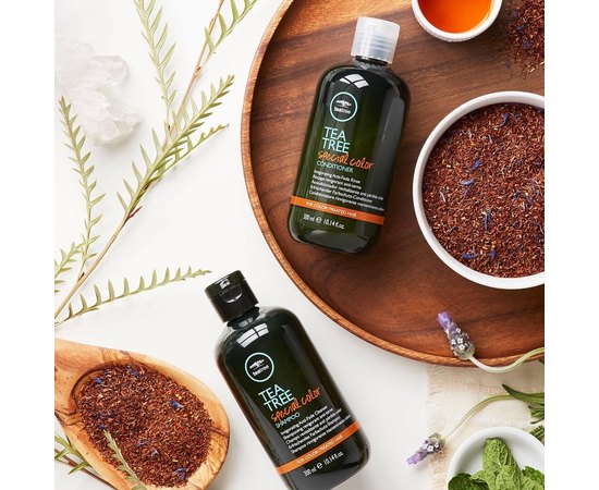 Шампунь для фарбованого волосся Paul Mitchell Tea Tree Special Color Shampoo, фото _ab__is.image_number.default