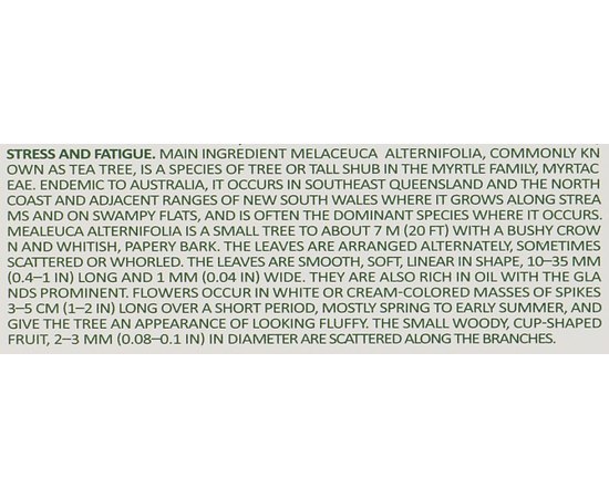 Пудра энзимная для умывания с чайным деревом Medi-Peel Micro Tea Powder Cleanser, 70 g, изображение 3