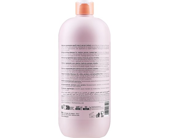 Шампунь для відновлення зрілого та пористого волосся Inebrya Hair Lift Shampoo, фото _ab__is.image_number.default