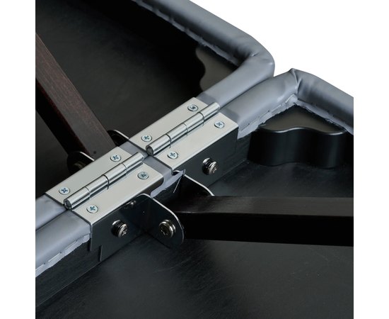 Масажний стіл Master Massage Montour LX Dove grey, фото _ab__is.image_number.default