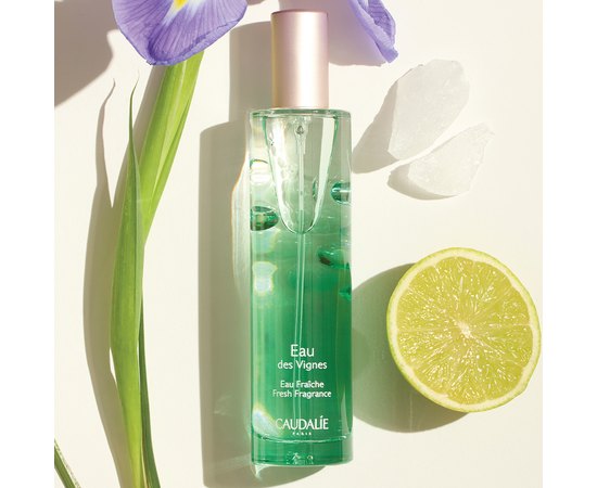 Освіжаюча туалетна вода Caudalie Eau Des Vignes Fresh Fragrance, 50 ml, фото _ab__is.image_number.default