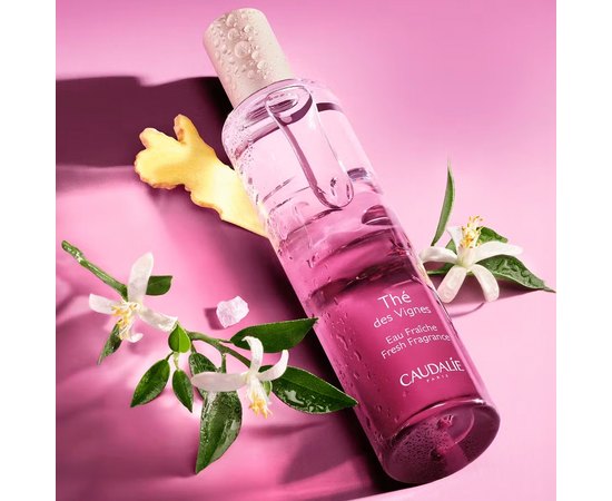 Энергетическая туалетная вода Тигрейп Винь Caudalie Thé des Vignes Fresh Fragrance, 50 ml, изображение 2