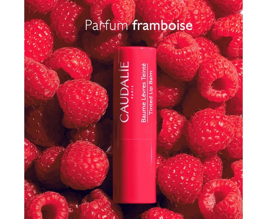 Тинт Бальзам для губ Caudalie Vinotherapist Tinted Lip Balm, 4.5 g, изображение 2 Тинт Бальзам для губ Caudalie Vinotherapist Tinted Lip Balm, 4.5 g, изображение 2