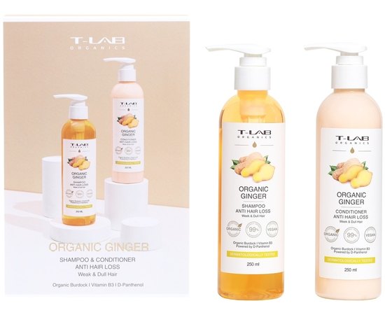 Набор для ослабленных волос T-Lab Professional Organics Organic Ginger Shampoo and Mask set