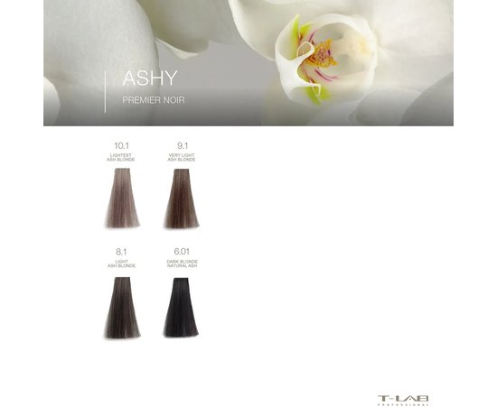 Крем-фарба для волосся T-Lab Professional Premier Noir, 100 ml, фото _ab__is.image_number.default