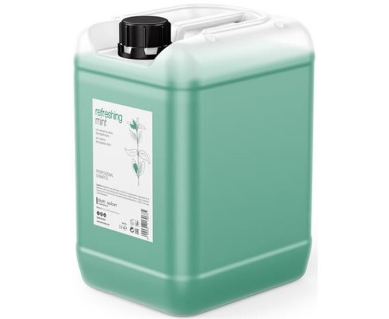 Шампунь тонізуючий проти лупи зі свіжою м'ятою Dott. Solari Cosmetics Professional Refreshing Mint Shampoo, фото _ab__is.image_number.default
