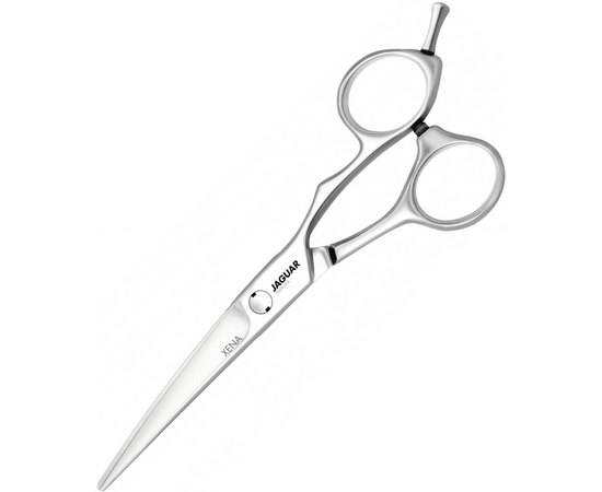 Парикмахерские ножницы Jaguar Silver Line Xena