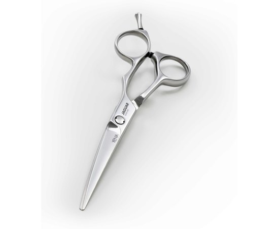 Парикмахерские ножницы Jaguar Silver Line Xena, изображение 2