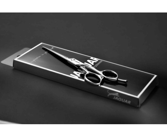 Парикмахерские ножницы Jaguar Silver Line Xena, изображение 3