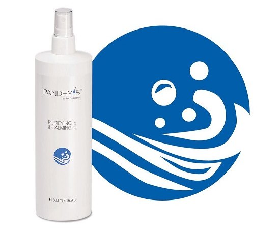 Pandhy's Purifying & Calming Засіб для очищення шкіри, фото _ab__is.image_number.default